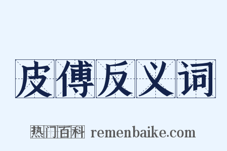 皮傅反义词是什么意思的图片